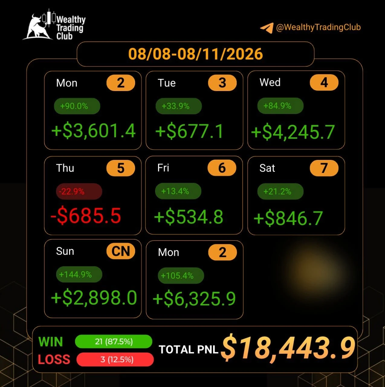 Weekly PnL summary